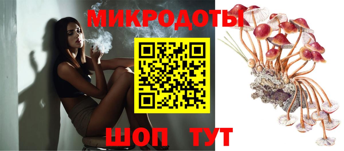 Псилоцибиновые грибы мицелий Волгоград