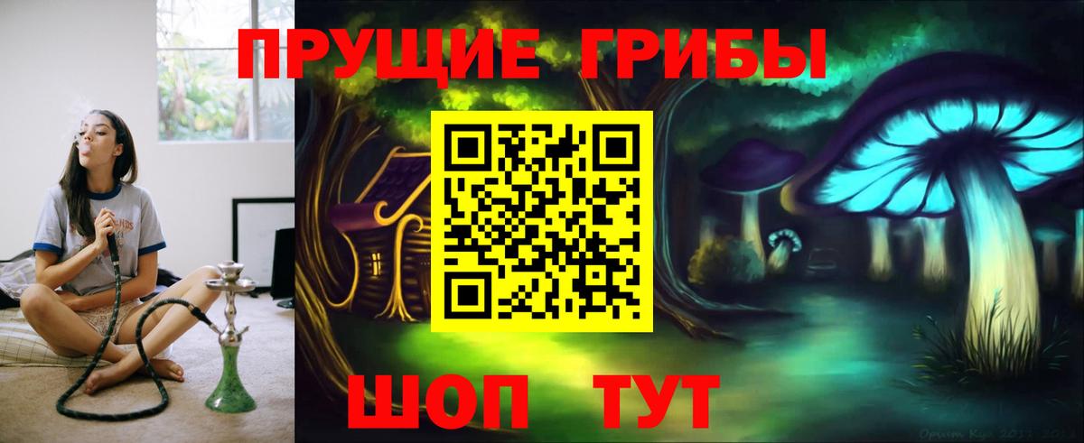 где купить наркоту  Вход с VPN  Волгоград  Псилоцибиновые грибы прущие грибы  Псилоцибиновые грибы ЛСД 